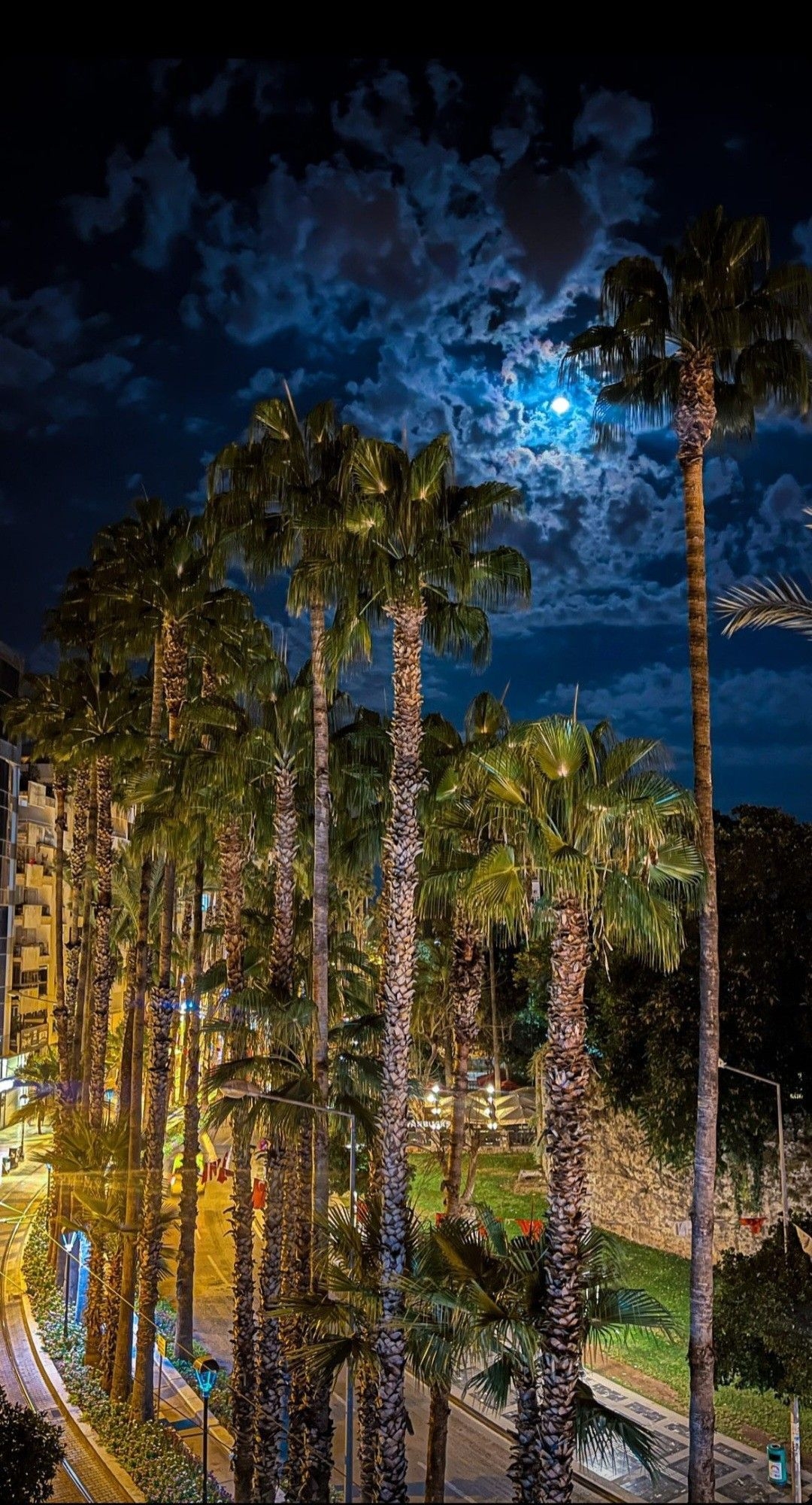 Night Magic on Işıklar Street | Explore with Sky Rent A Car
